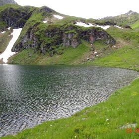 DSC00499