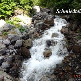 DSC00546