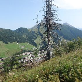 lech_buerstegg5