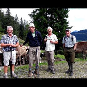frassen24ok