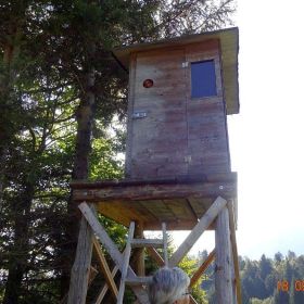 DSC00709