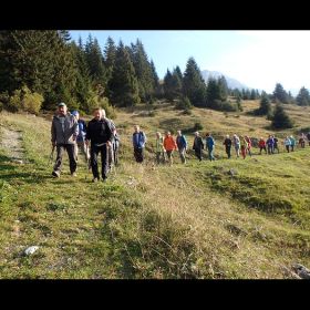 Stuben05