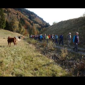 Stuben16