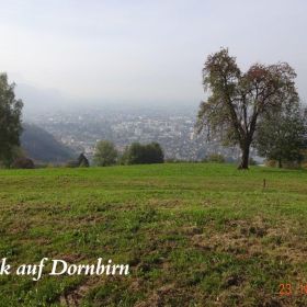 DSC00871