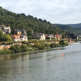 IMG-20190922-WA0004