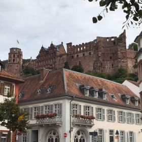 IMG-20190922-WA0010