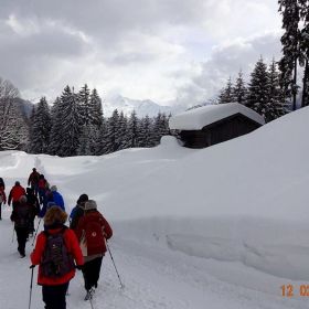 DSC01005