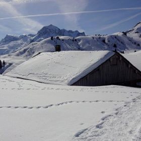 DSC01049