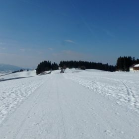 20_