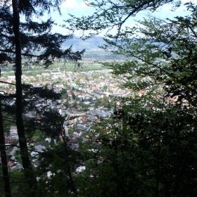 20_