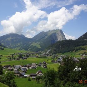 DSC01517