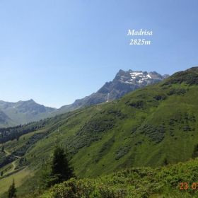 DSC01584