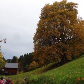 DSC01765