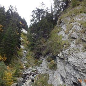DSC01779