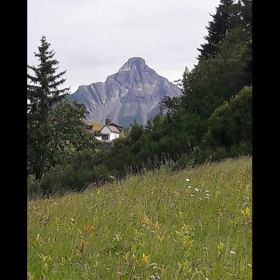 IMG-20190816-WA0035