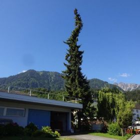 DSC01949