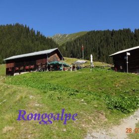DSC01997