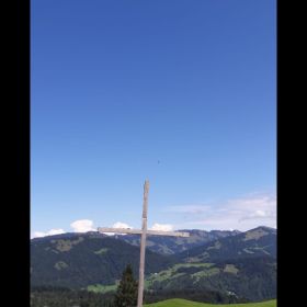 IMG-20200818-WA0008