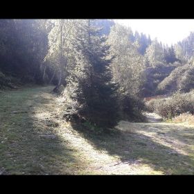 IMG-20200922-WA0009