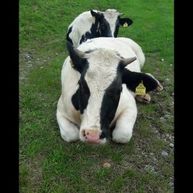IMG-20201006-WA0000