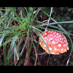 IMG-20201006-WA0008