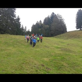 IMG-20201006-WA0017
