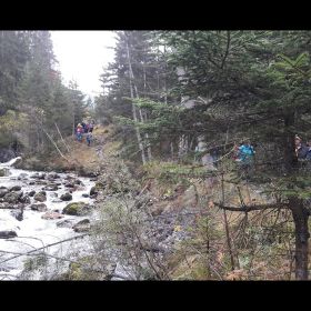 IMG-20201020-WA0002