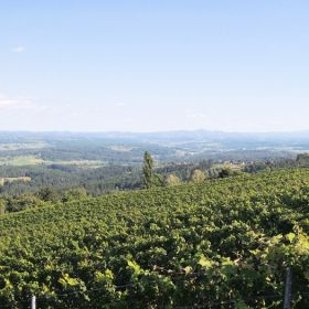Steiermark46ok