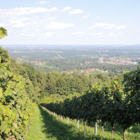 Steiermark47ok