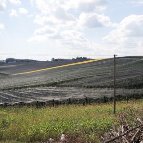 Steiermark56ok