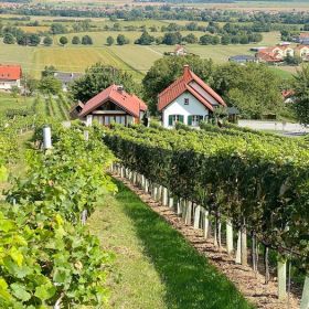 Steiermark96fok