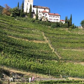 Meran11