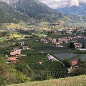 Meran16