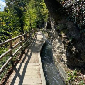 Meran19