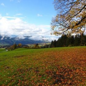 27_Lingenau-_Rotenberg