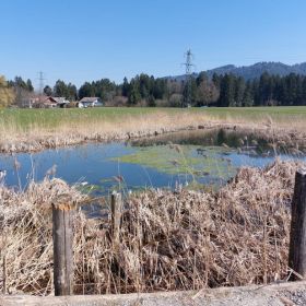 IMG-20220322-WA0022