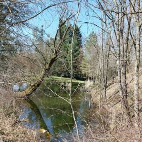 IMG-20220322-WA0025
