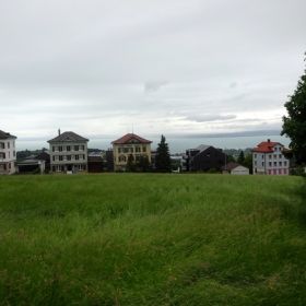 Witz11