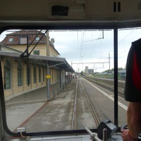 Witz23