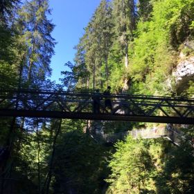 IMG-20220817-WA0010
